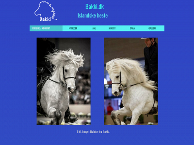 bakki.dk snapshot