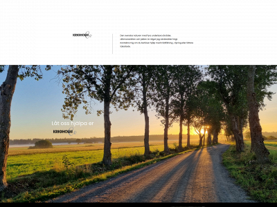krigholm.se snapshot