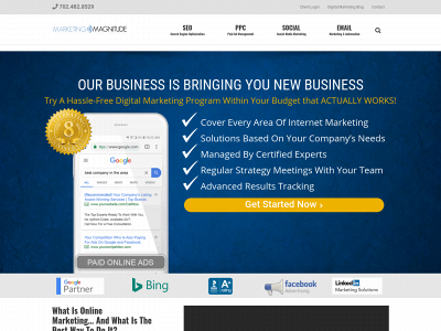 www.marketingmagnitude.com snapshot