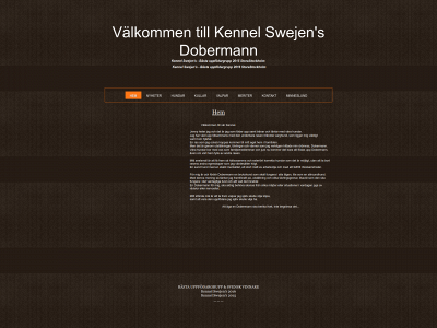 swejens.se snapshot