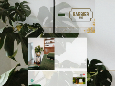 barbier2160.be snapshot