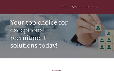 vtlimited.co.uk snapshot