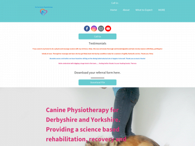 tiptopcaninephysiotherapy.co.uk snapshot
