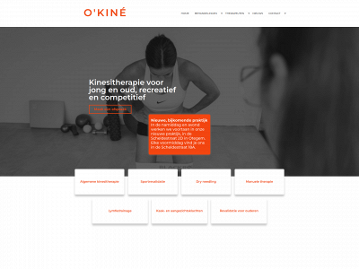 kinecoorevits.be snapshot