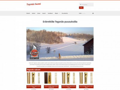 tegsnas.fi snapshot