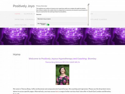 positivelyjoyous.com snapshot