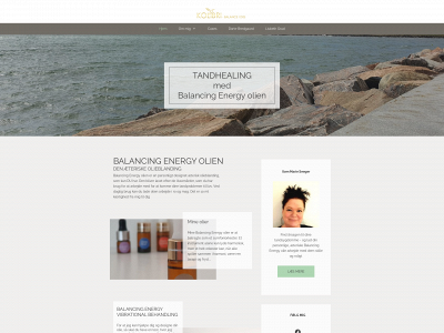tandhealer.online snapshot