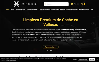 molasservices.com snapshot