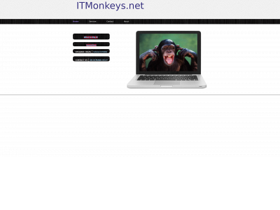 itmonkeys.net snapshot