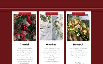 vandierendonck.nl snapshot