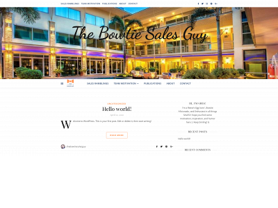 thebowtiesalesguy.com snapshot