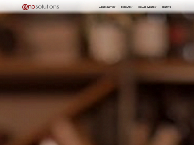 enosolutions.com.br snapshot