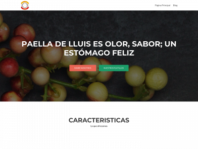 paelladelluis.com snapshot