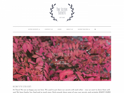 thesistersecrets.com snapshot