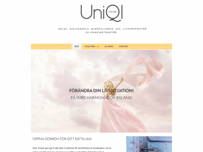 uniqi.se snapshot