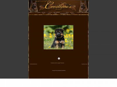 crestlines.se snapshot