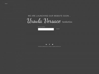 ursulaversaceaesthetics.com snapshot