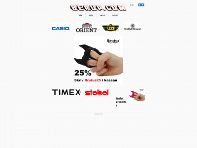 berup.com snapshot