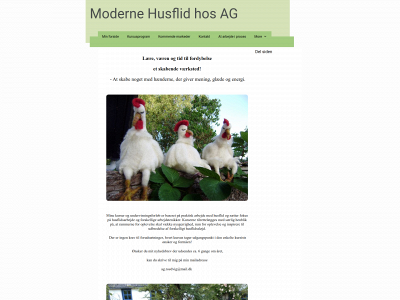 husflidhosag.dk snapshot