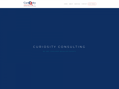 www.curiosity-consulting.com snapshot