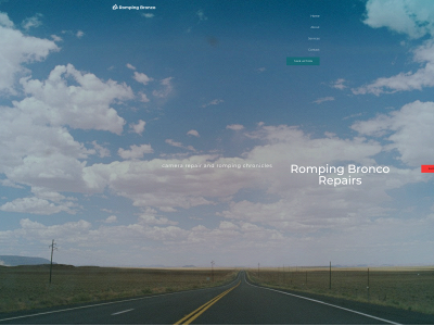 rompingbroncorepairs.com snapshot