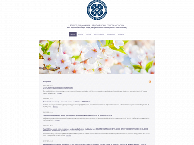 mindfulness.lt snapshot