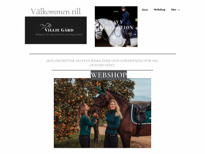 villiegard.se snapshot
