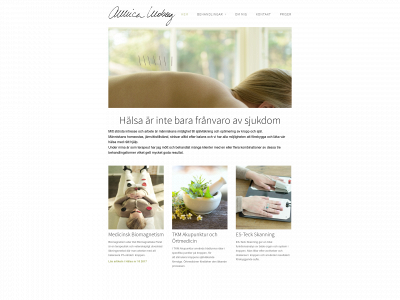 annicamoberg.se snapshot