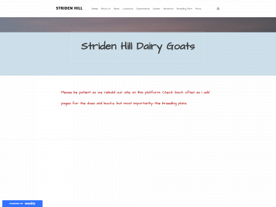 stridenhill.weebly.com snapshot