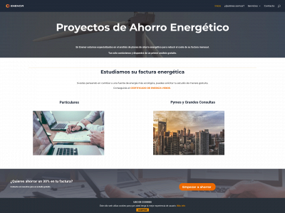 enenor.com snapshot
