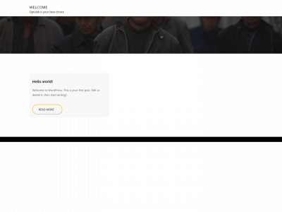 optolabonline.com snapshot