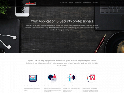 codenet.lt snapshot