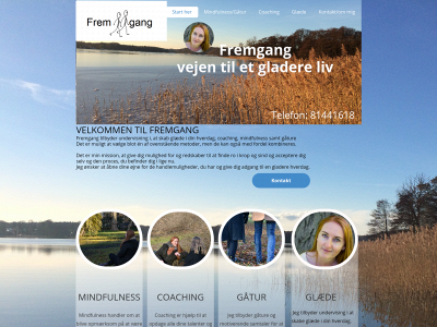 fremgang.dk snapshot