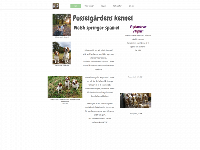 pusselgardens.one snapshot