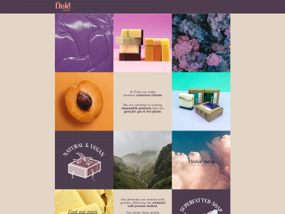 fluidsoap.berlin snapshot