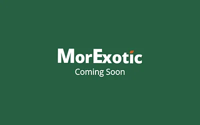 morexotic.com snapshot