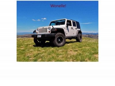 wonelle.com snapshot