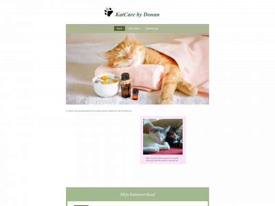 donan.nl snapshot