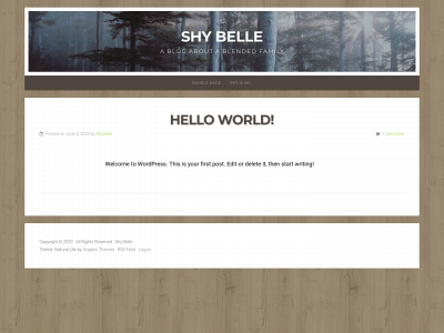 shybelle.com snapshot