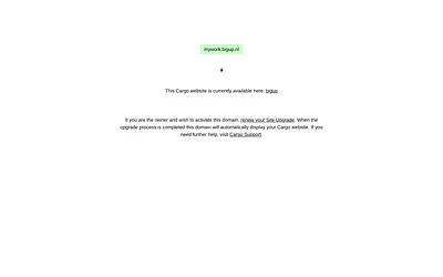 bigup.nl snapshot