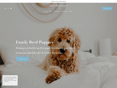familybredpuppies.com snapshot
