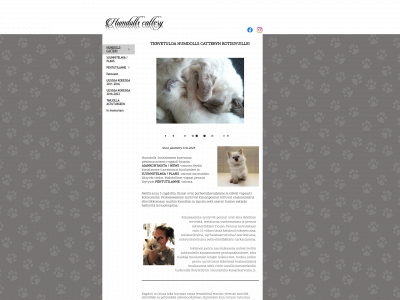 humdollscattery.123kotisivu.fi snapshot