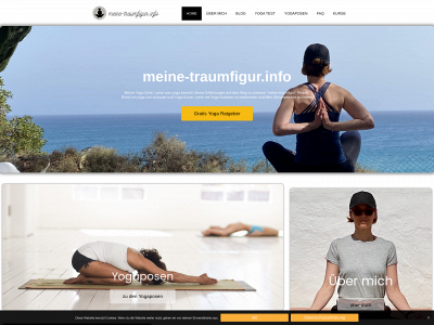 meine-traumfigur.info snapshot