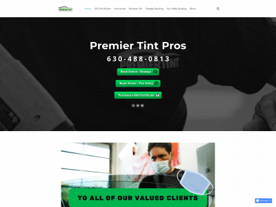 premiertintpros.com snapshot