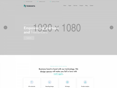 teimonta.lt snapshot