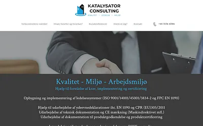 katalysator.consulting snapshot