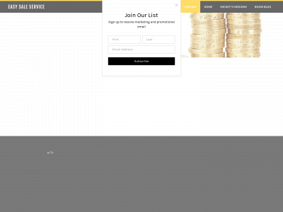 www.easysaleservice.com snapshot