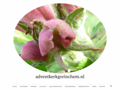 adventkerkgorinchem.nl snapshot