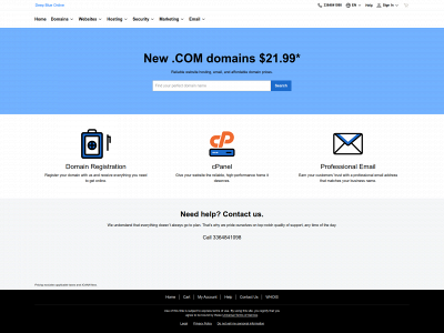 newhostings.com snapshot
