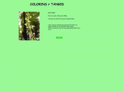 colorinsrtangid.co.uk snapshot